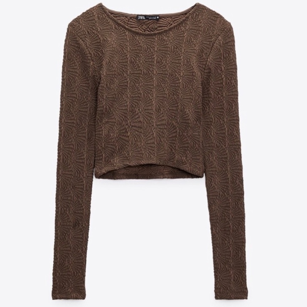 Zara Textured Pointelle Brown Long Sleeve Cropped Top